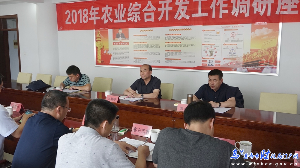 自治区农业综合开发调研组莅临我市进行专题调研